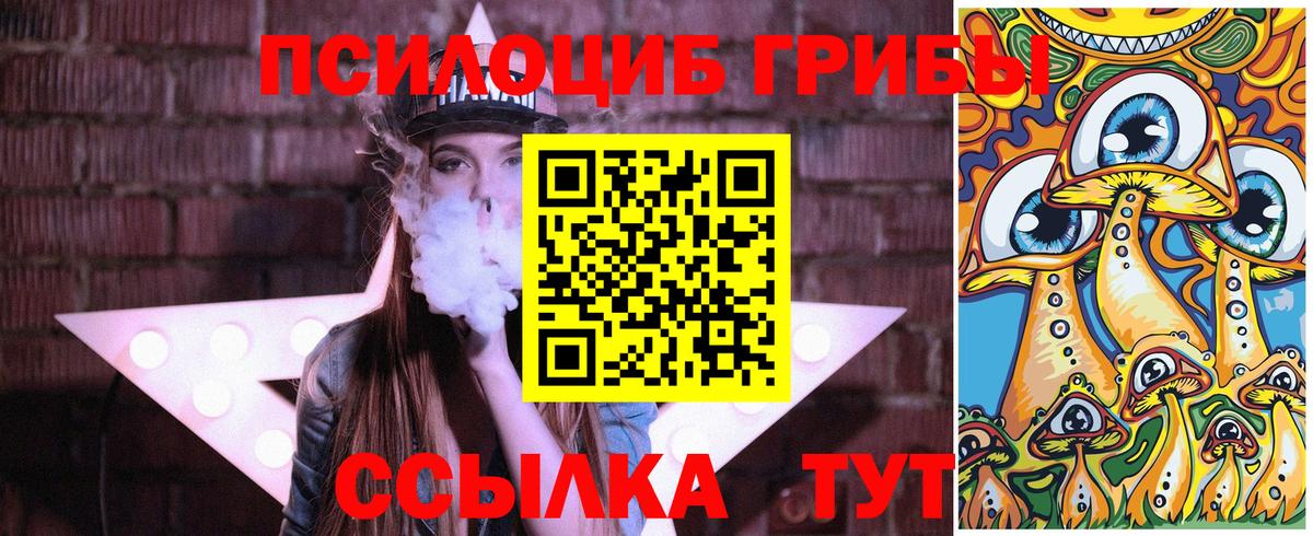 Удомля  Псилоцибиновые грибы Psilocybe  Вход с VPN 